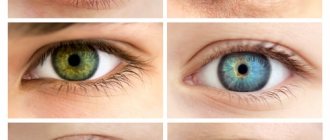 Как изменить цвет глаз. Какие бывают цвета, операция по изменению, капли с гормонами