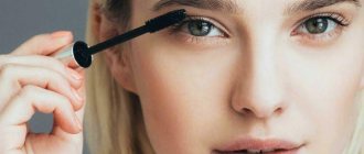 Makeup for the impending century: step-by-step tutorials (70 photos)
