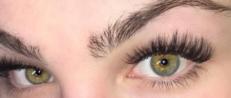 eyelash extensions l effect