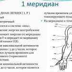 Acupuncture points on the human body. Atlas, photo, how to do acupressure 